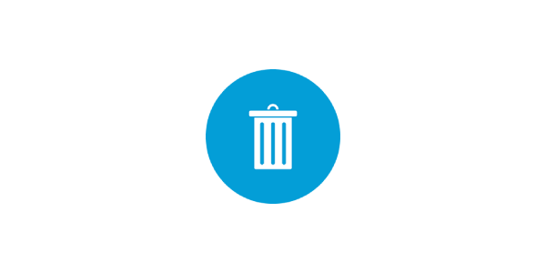WP Bulk Delete Pro